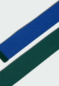 adidas Golf REVERS WEB - Cinturón - collegiate green   royal blue