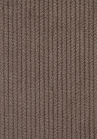 Texture de tissu doux avec des côtes de velours côtelé verticales de couleur marron clair.
