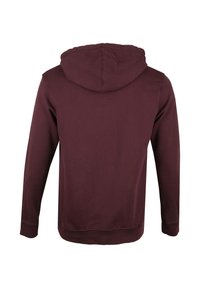 Bordeauxkleurige hoodie, zacht materiaal, lange mouwen, kangoeroezak, verstelbare capuchon, eenvoudige uitvoering, ribgebreide manchetten en zoom. Achteraanzicht weergegeven.