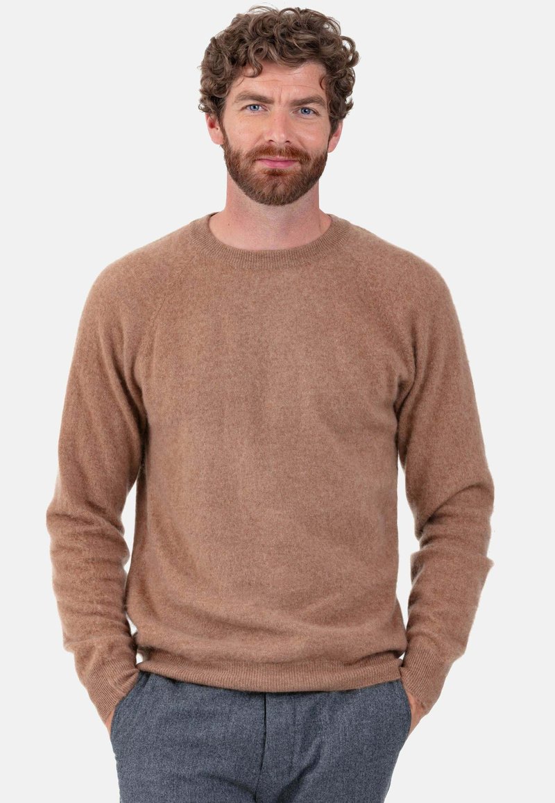 Brown, soft-textured sweater with a round neckline and long sleeves, featuring a relaxed fit and ribbed cuffs and hem.