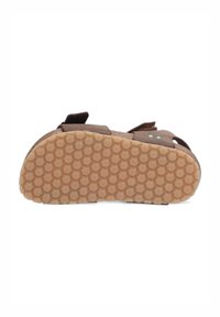 BunniesJR BEN BEACH - Babyschoenen - donkerbruin