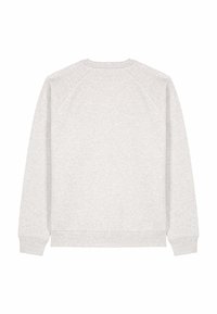 Felpa grigio chiaro con scollo a girocollo, maniche raglan, orli con polsini e una texture morbida. Nessun logo o motivo visibile.