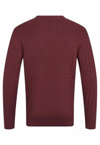 U.S. Polo Assn. ARCHI - Džemperis - port royale