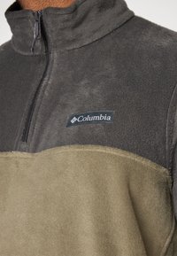 Columbia STEENS MOUNTAIN™ HALF ZIP - Felpa in pile - shark/stone green