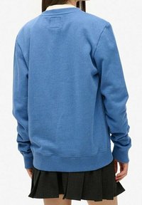 Sudadera azul con cuello redondo, puños y dobladillo acanalados. Textura de tela suave. Llevada sobre una falda negra plisada. Sin logotipos ni gráficos visibles.