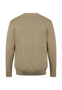 Beige gebreide trui met een ronde halslijn, lange mouwen en geribbelde zoom. Zachte textuur met een glad, gelijkmatig patroon. Alleen achterkant zichtbaar.