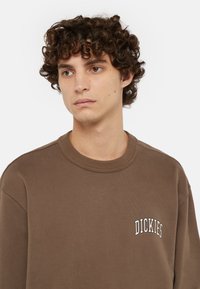Sudadera marrón con cuello y puños acanalados, adornada con un pequeño logo bordado en blanco de "DICKIES" en el pecho. Tejido suave y texturizado.