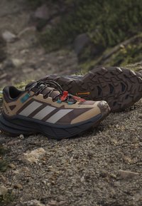 Καφέ και μαύρα παπούτσια πεζοπορίας Adidas Terrex με ανθεκτικές σόλες Continental που ακουμπούν σε βραχώδες μονοπάτι.