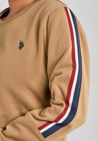 Brun sweatshirt med rund halsringning, försedd med en liten svart logotyp och flerfärgade ränder (röd, vit, marinblå) på ärmarna. Mjuk textur.