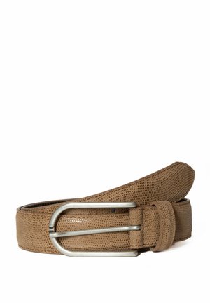 BA98 Riem - camel