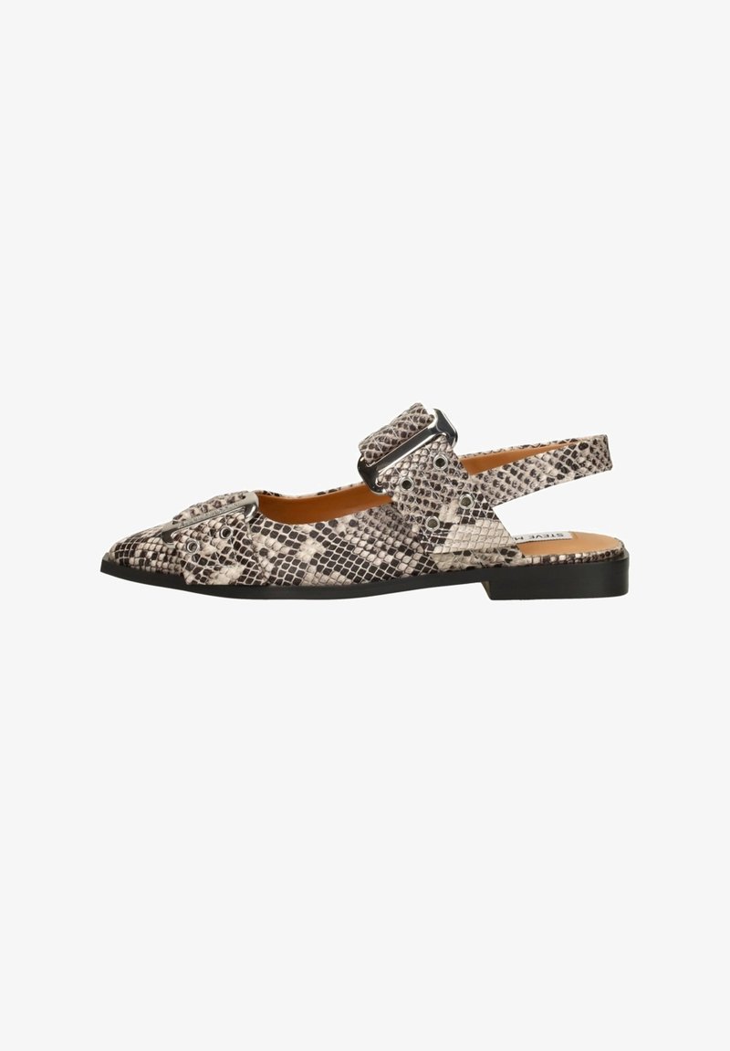 Steve Madden GRAND AVE - Kannarihmaga baleriinad - lt beige snake