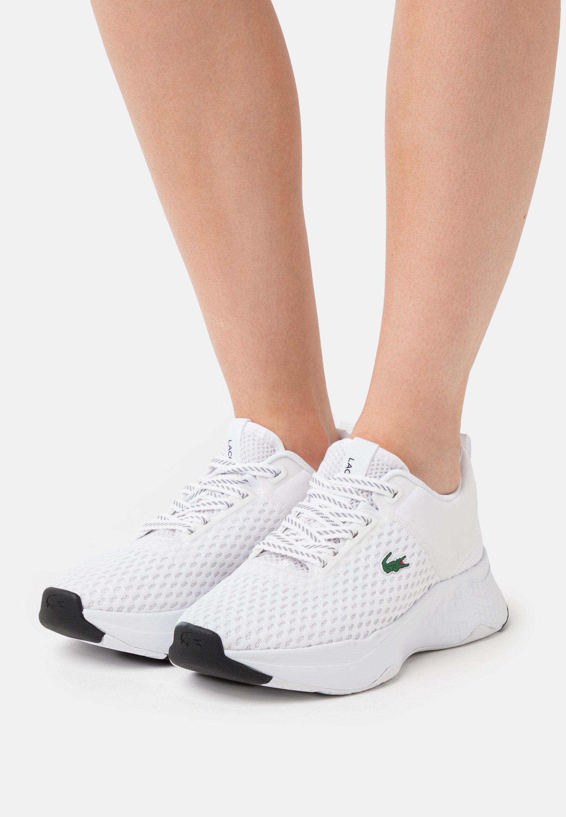 zalando lacoste sneakers