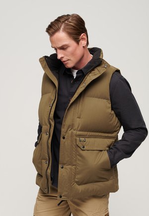 Superdry & Co Chaleco - khaki