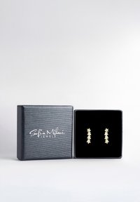 Goldene sternförmige Ohrringe werden in einer mit schwarzem Samt ausgelegten Box präsentiert; elegante schwarze Verpackung mit silbernem Text auf dem Deckel.