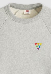 Felpa grigia realizzata in morbido tessuto, con scollatura rotonda, maniche raglan e un logo triangolare multicolore sul petto.