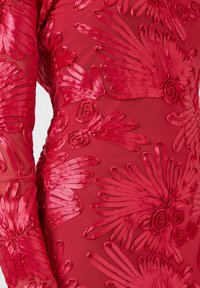 Rød broderet kjole med et blomsterprint med forhøjede kronblade og rosetter, lavet af gennemsigtigt stof med en tekstureret finish.