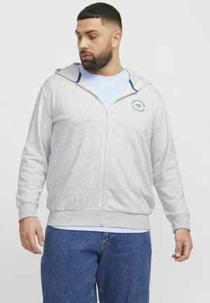 Gray zip-up hoodie with a blue-lined hood, featuring a round logo on the chest, made from a textured cotton blend fabric.