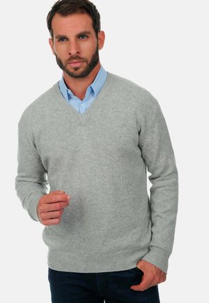 HIPPOLYTE - Strickpullover - flanelle chiné