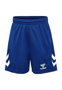 Pantalones cortos deportivos azules hechos de tejido ligero, con un diseño de chevron blanco en los lados y un logo de marca en la parte inferior. Cintura elástica.
