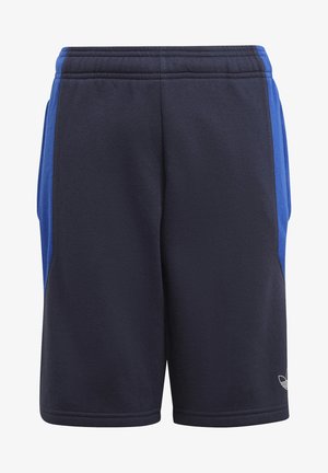 COLOURBLOCK UNISEX - Shorts - legend ink/team royal blue