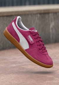 PALERMO UNISEX - Αθλητικά παπούτσια - berry/silver-coloured mist