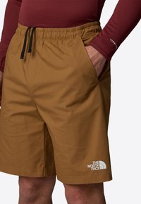 The North Face LIMESTONE - Shorts - utility brown