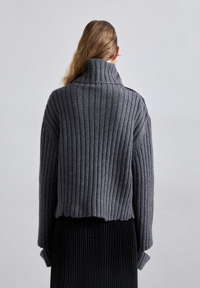 Suéter cinza de malha canelada com colarinho alto e design cropped, apresentando botões laterais e um tecido texturizado. Combinado com uma saia plissada preta.