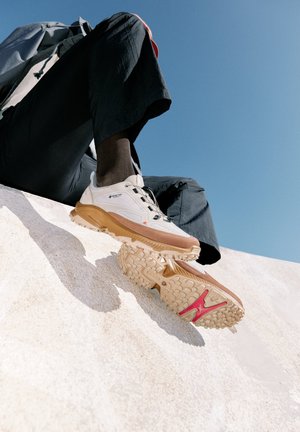 ECCO, ECCO RECEPTOR XP M GTX IF SHOE - Tenisky - potting soil vetiver wild dove vetiver