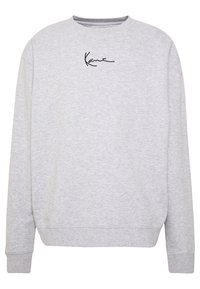 Grå sweatshirt lavet af blød stof, med rund hals, lange ærmer og et minimalistisk sort signaturdesign på brystet.