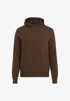 Bruine sweater met capuchon, gemaakt van gebreide stof. Heeft lange mouwen, geribbelde manchetten en zoom. Gladde textuur zonder zichtbare patronen of accenten.
