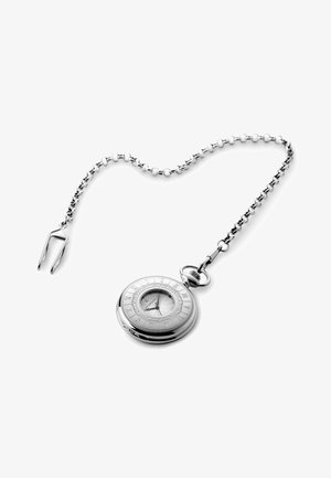 SEIZMONT ALTAIR - Ure - steel silver