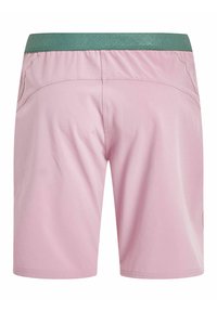 Protest PRTACACIA - Šortky - duskyrose