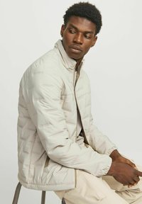 Veste matelassée beige clair avec un col haut, présentant des coutures verticales et des poignets élastiques. Fermeture éclair à l'avant, accents texturés. Coupe décontractée.