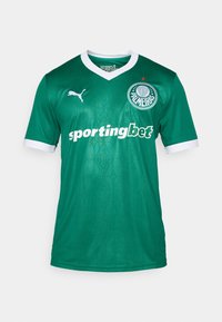 Grøn sportstrøje lavet af syntetisk stof med v-hals design. Har hvide detaljer, et rundt logo og et sponsor navn trykt med fed skrift.