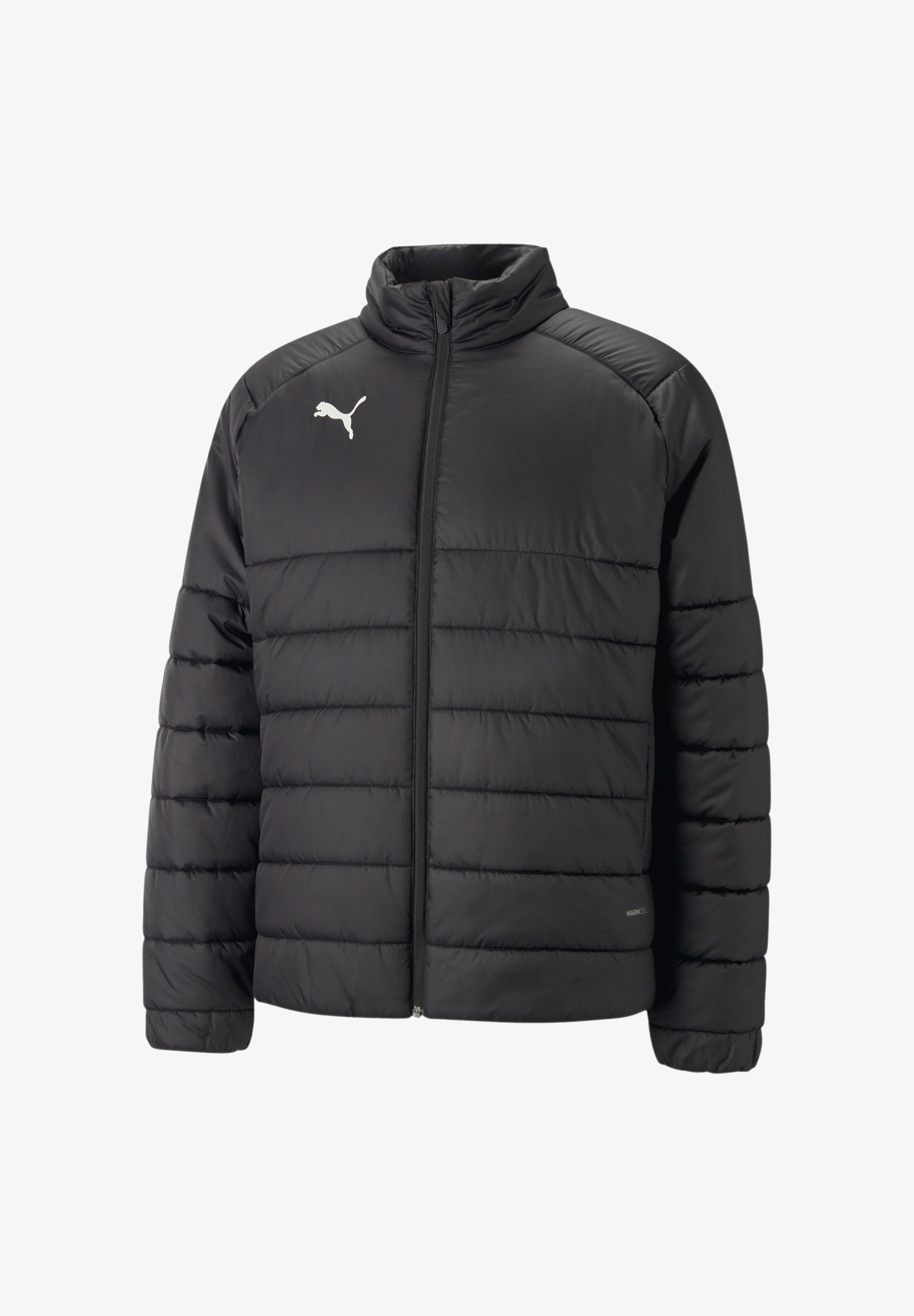 Puma TEAMLIGA PADDED Winterjacke schwarz Zalando