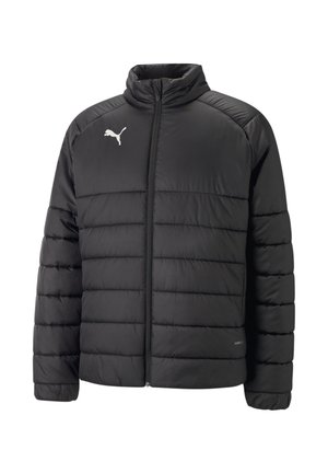 TEAMLIGA PADDED 2 - Winterjas - schwarz