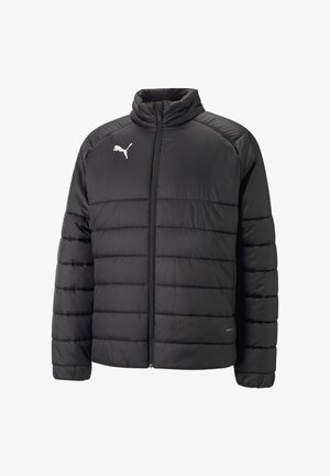 TEAMLIGA PADDED 2 - Winter jacket - schwarz