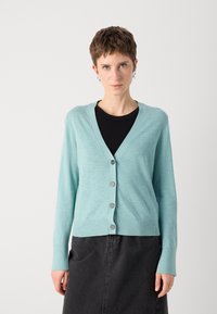 Light teal cardigan with a V-neck, long sleeves, and five button closure. Soft texture, ribbed cuffs, and a cropped hem paired with a black top.