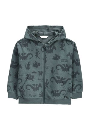 Coccodrillo, REISSVERSCHLUSS-HOODIE - Zip-up sweatshirt - dark grey