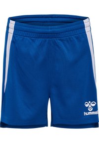 Non sélectionné, true blue