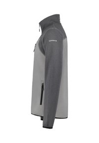 Grijze fleece jas met een ritssluiting aan de voorkant, hoge kraag en contrasterende lichtergrijze panelen. Voorzien van elastische manchetten en zijzakken.