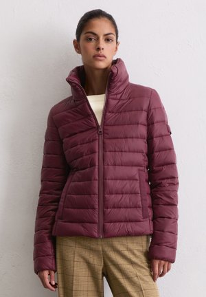 SMALL CHAMBERS WELT POCKETS - Winter jacket - aubergine red