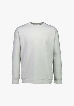 Felpa grigia chiara realizzata in tessuto morbido, con collo rotondo, maniche lunghe e polsini e orlo a costine. Nessun logo o motivo visibile.