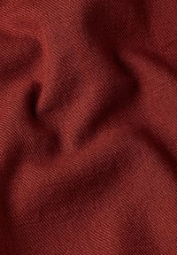 G-STAR DAKOTA SLIM - Camicia - dry red gd