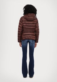 EA7 Emporio Armani GIUBBOTTO - Žieminė striukė - puce