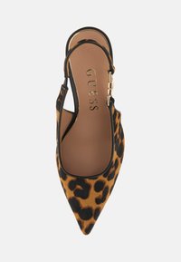 Leopardi mustriga slingback kontsad, terava nina, must äär ja kuldsed detailid. Tekstuuriga pealisosa, siledad siseosad ja avatud selg.