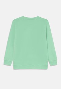 Felpa in cotone verde menta con maniche lunghe, polsini a costine e scollatura rotonda. Tessuto liscio e colore uniforme senza fantasie.