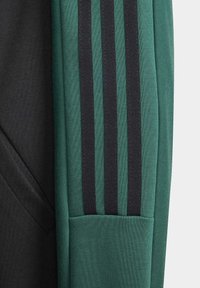 adidas Sportswear TIRO TRACK KIDS - Träningsjacka - collegiate green/black