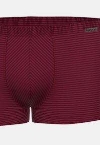 Burgundyröda kalsonger med vertikala ränder, elastisk midja och logotypdetalj på sidan. Slät textur med figurnära design.