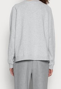 Jasnoszara bluza z luźnym krojem, okrągłym dekoltem oraz ściągaczami przy mankietach i u dołu. Miękka faktura i minimalistyczny design bez zdobień.